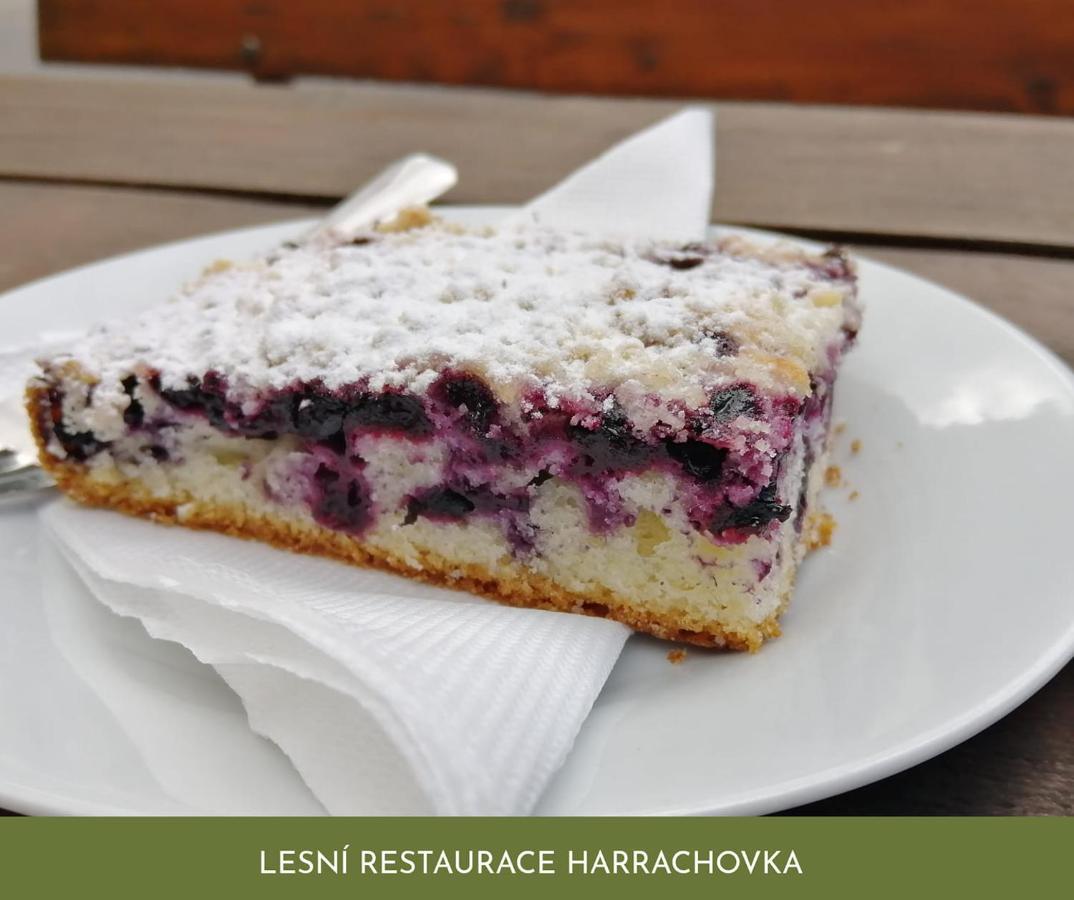 Lesní Restaurace Harrachovka Hotel Tábor Exterior foto